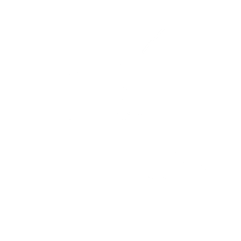 Danzaretti México